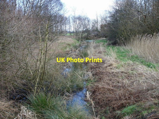 Photo 6"x4" Pestfurlong Moss Gorse Covert\/SJ6692 c2007