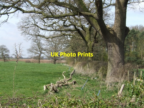 Photo 6"x4" Along the Roman Road Goosemoor\/SJ8217 c2007