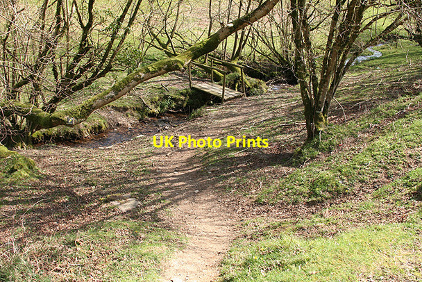 Photo 6"x4" Dulverton: footbridge over stream Battleton c2007