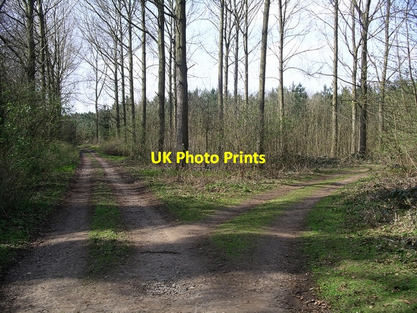 Photo 6"x4" Path junction in West Wood Broughton\/SE9608 c2007