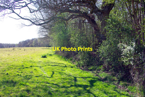 Photo 6"x4" Footpath, south edge, Mill Wood Hurst Green\/TQ7327 c2007