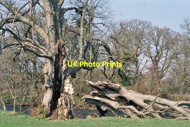 Photo 6"x4" Gale casualty, Annanside Middleshaw\/NY1475 c2007