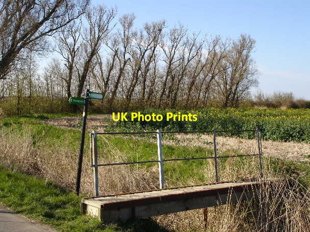 Photo 6"x4" Trees and footbridge Newchurch\/TR0531 c2007