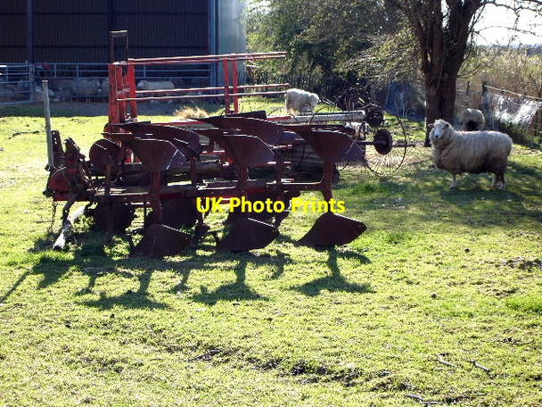 Photo 6"x4" Plough and sheep Newchurch\/TR0531 c2007