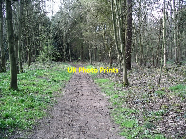 Photo 6"x4" Footpath, West Wood Broughton\/SE9608 c2007