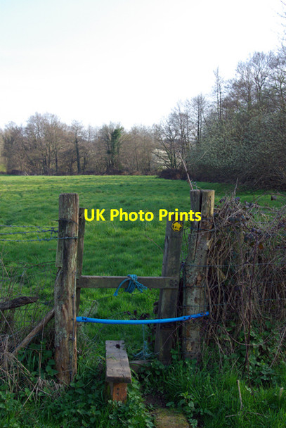 Photo 6"x4" Electric stile Burnt Oak\/TQ5127 c2007