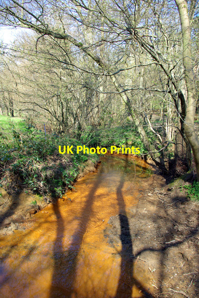 Photo 6"x4" Wealden Stream Mayfield\/TQ5826 c2007