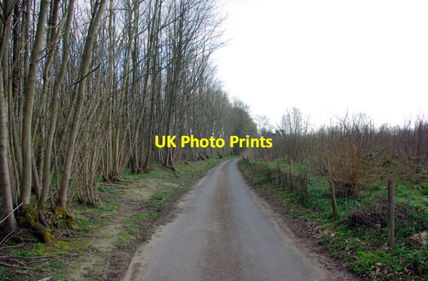 Photo 6"x4" Elmstone Hole Road (3) Fairbourne Heath c2007
