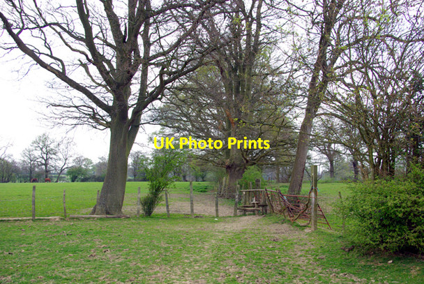Photo 6"x4" Footpath north of Biddenden Biddenden c2007