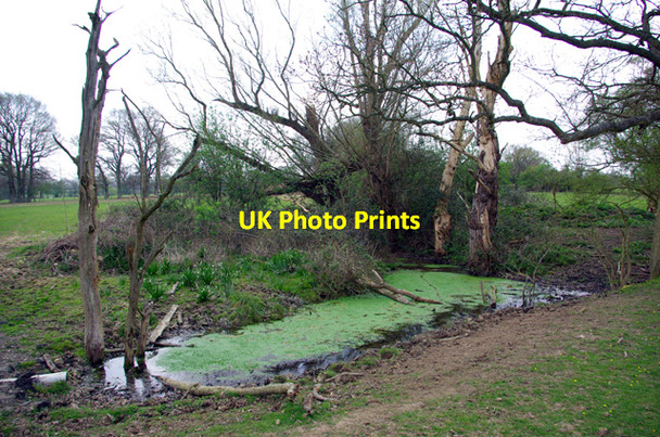 Photo 6"x4" A weedy pond Biddenden c2007