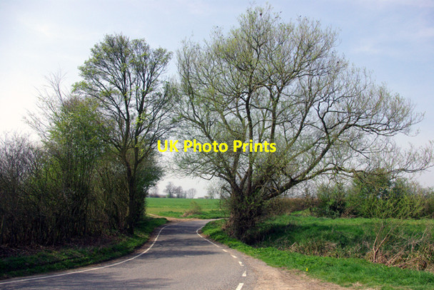 Photo 6"x4" Willows by Rands Road Bishops Green c2007
