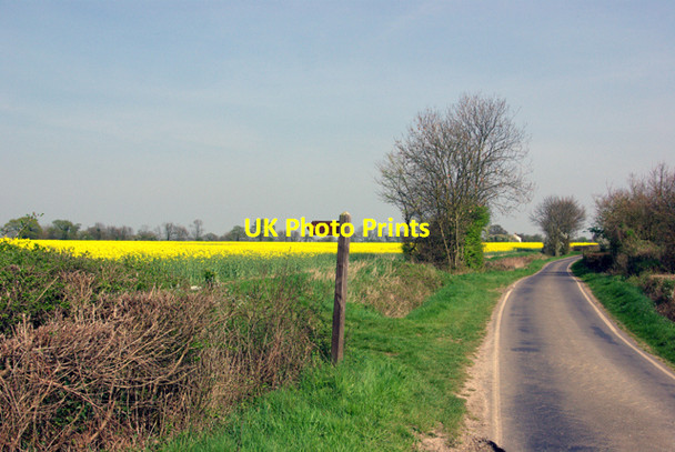 Photo 6"x4" Footpath to Pleshey Pleshey c2007