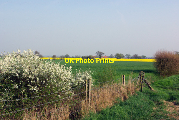 Photo 6"x4" View towards Broomfield Hall Broomfield\/TL7010 c2007
