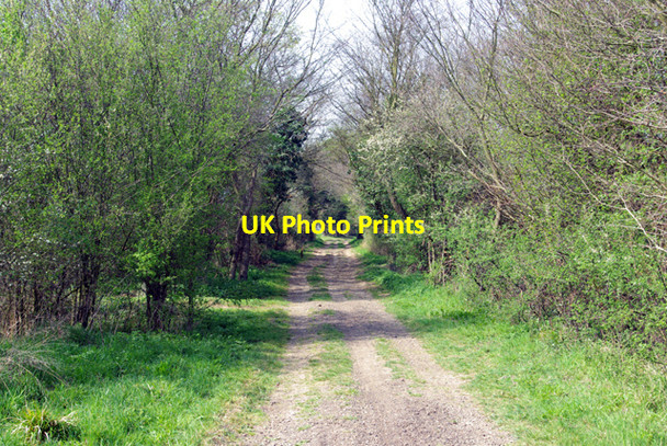Photo 6"x4" Byway or bridleway? Ford End\/TL6716 c2007