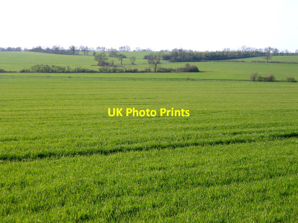 Photo 6"x4" Landscape with wheat fields, Croxton, Cambs Croxton\/TL2459 c2007