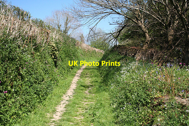 Photo 6"x4" Goodleigh: footpath to the village Goodleigh\/SS5934 c2007