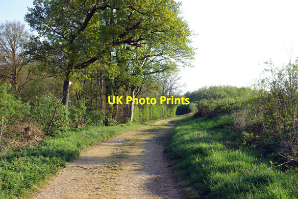 Photo 6"x4" A pleasant track Boreham\/TL7509 c2007