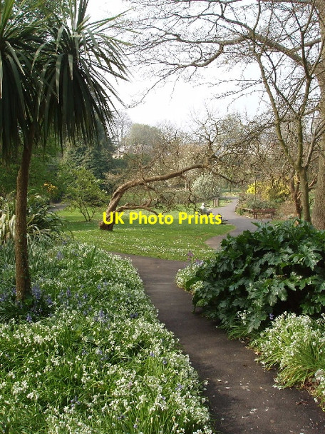 Photo 6"x4" Tessier Gardens, Torquay Torquay c2007