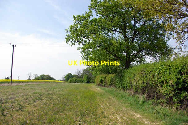 Photo 6"x4" Footpath towards Leigh Green Tenterden c2007