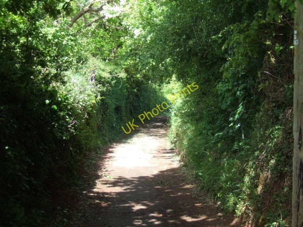 Photo 6"x4" Hambeer Lane, Exeter Exeter c2009