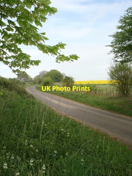 Photo 6"x4" Chalky Hill Heath Green\/SU6337 c2007