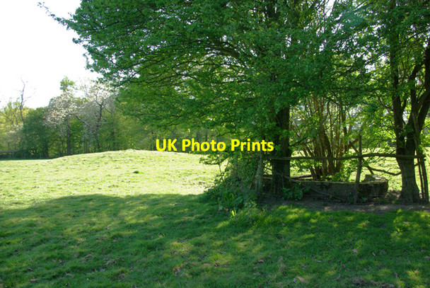 Photo 6"x4" Well by Great Doney Wood Robhurst c2007