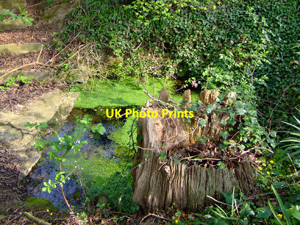 Photo 6"x4" The Running Well Coalhill\/TQ7597 c2007