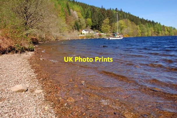 Photo 6"x4" Loch Oich shoreline Invergarry c2007