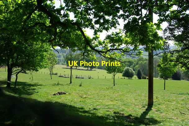 Photo 6"x4" Pastures below Hurst Lane Sedlescombe c2007