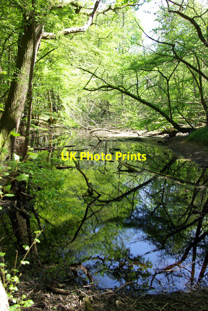 Photo 6"x4" Flooded ironstone pit Sedlescombe c2007