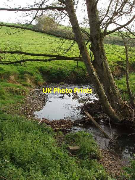 Photo 6"x4" Stream near Marhamchurch Marhamchurch c2007