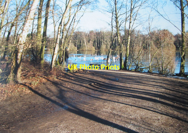 Photo 6"x4" Long winter shadows on Shakerley Mere Allostock c2006