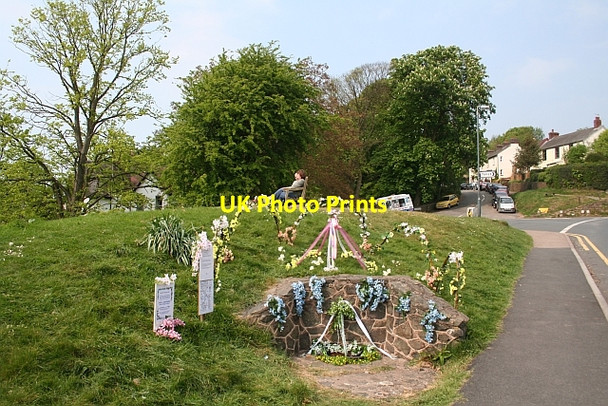 Photo 6"x4" Wyche Spring - 2007 Well Dressing Upper Colwall c2007