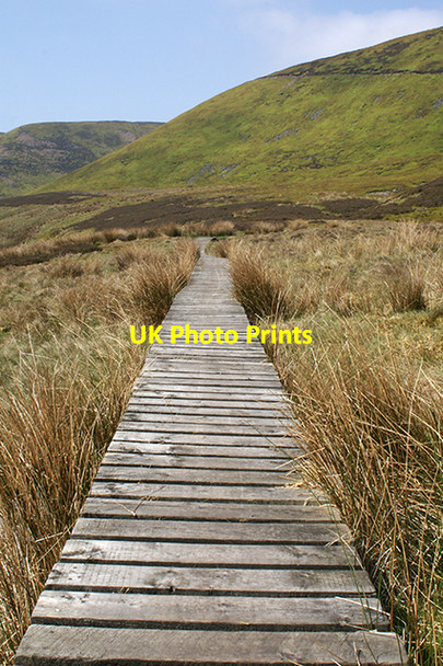 Photo 6"x4" Duck boards Sykes\/SD6351 c2007