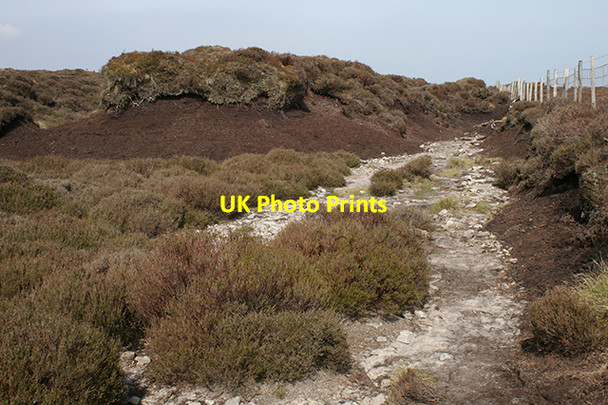 Photo 6"x4" Top of Fair Oak Fell Fair Oak\/SD6446 c2007