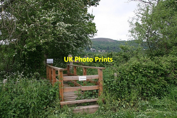 Photo 6"x4" Permissive Bridge into St. Wulstan's Nature Reserve Marl Bank c2007