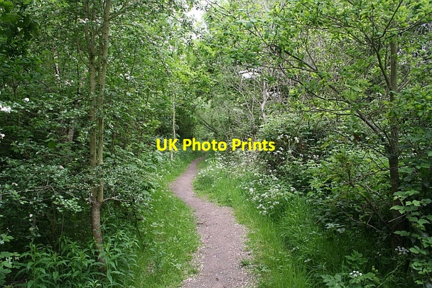 Photo 6"x4" Path in St.Wulstan's Nature Reserve Marl Bank c2007