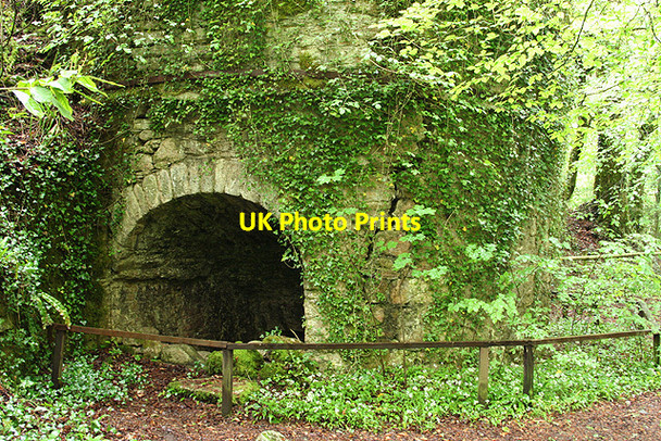 Photo 6"x4" Yealmpton: limekiln by footpath Yealmpton c2007