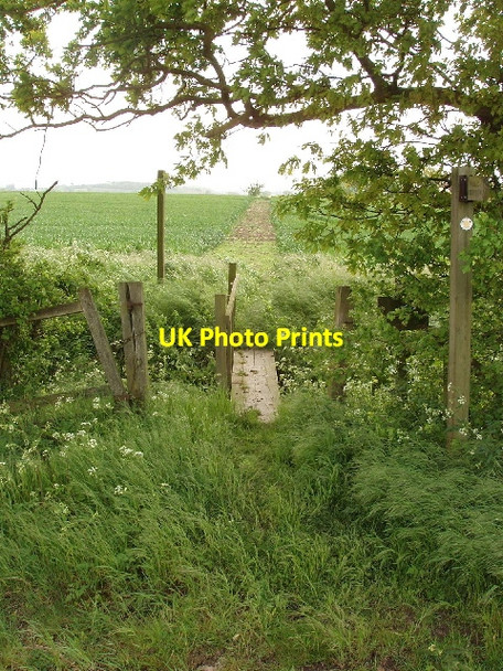 Photo 6"x4" Footbridge and path through wheat field Crafton c2007
