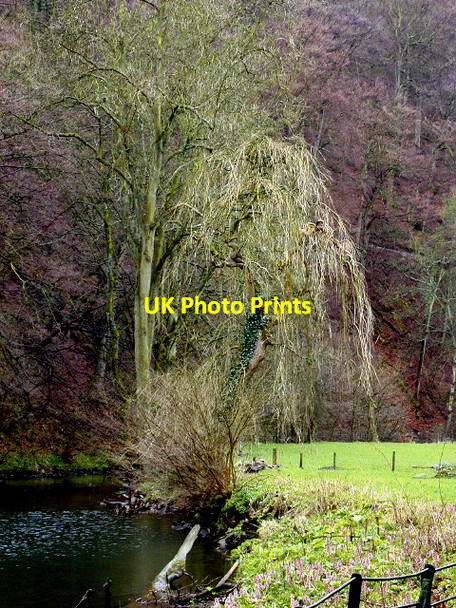 Photo 6"x4" River Manifold near Ilam Hall Ilam c2004