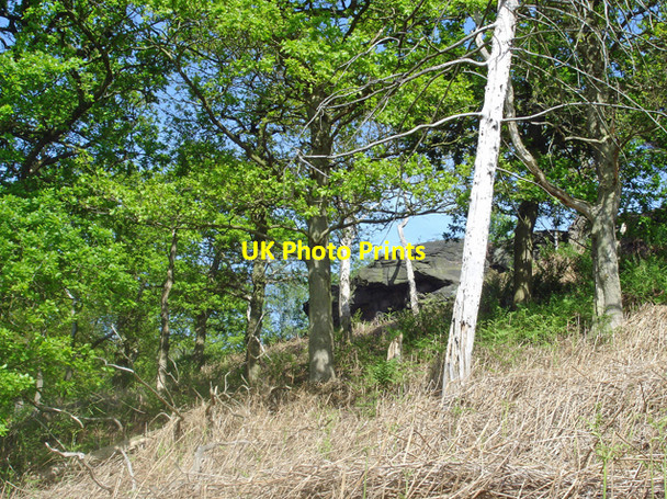 Photo 6"x4" Sandstone outcrop beside the Sandstone Trail Alvanley c2007