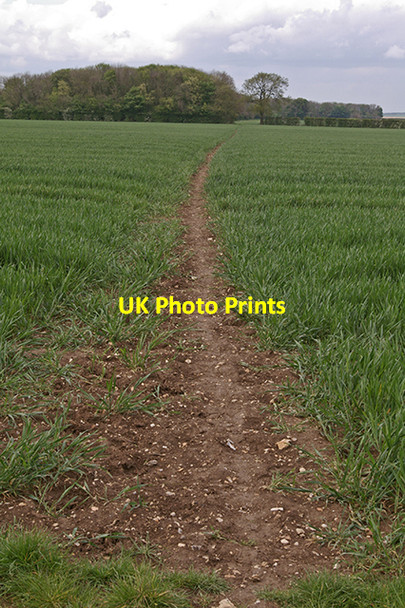 Photo 6"x4" Bridleway to Binbrook Great Tows c2007