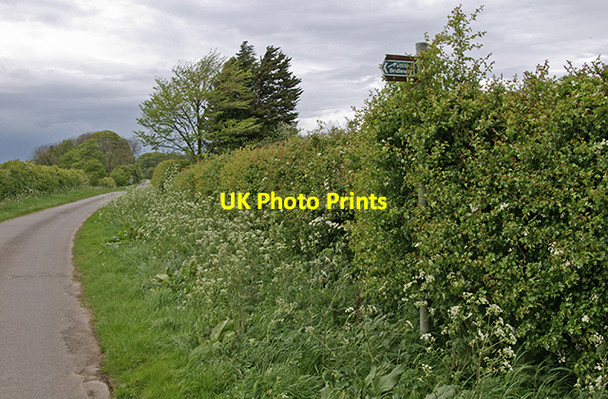 Photo 6"x4" Lurking signpost Binbrook c2007