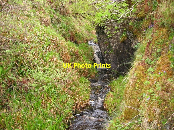 Photo 6"x4" Glen in Greshornish Forest Edinbane \/ An t-Aodann Ban c2007