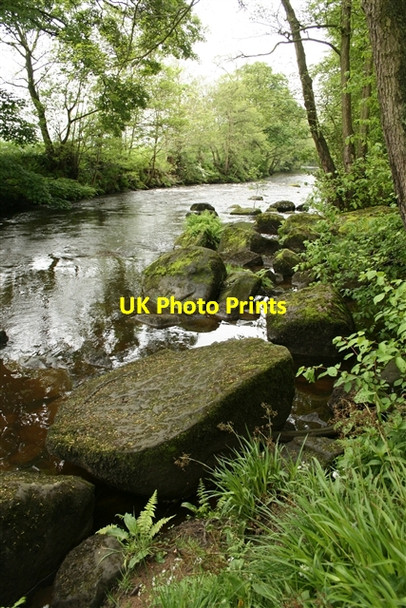 Photo 6"x4" River Nidd Dacre\/SE1960 c2007