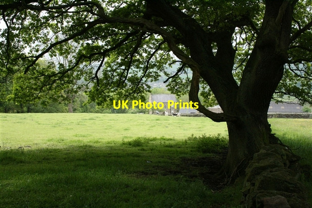 Photo 6"x4" Farm above Summerbridge Summerbridge c2007