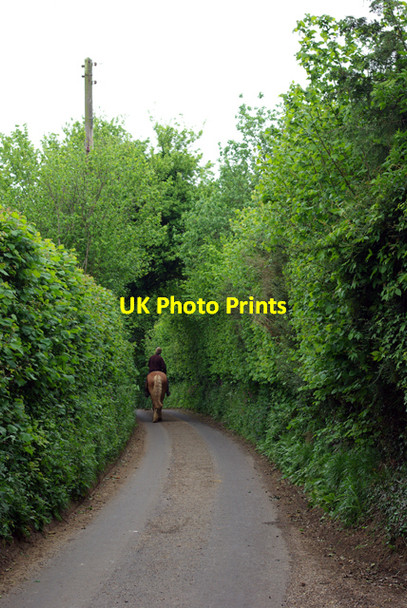 Photo 6"x4" Riding in Woodland Road Hemsted c2007