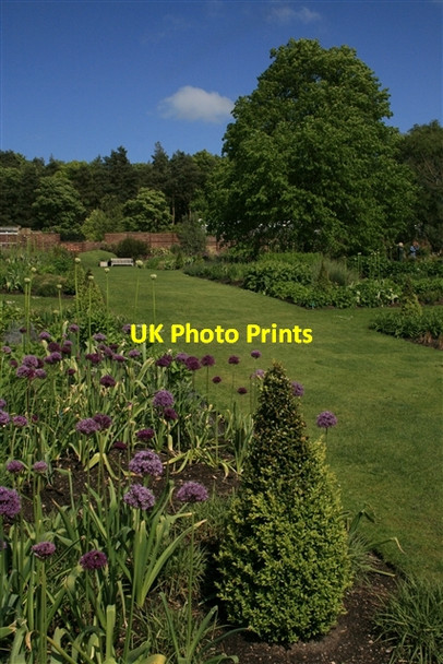 Photo 6"x4" Main borders, RHS Harlow Carr Harrogate c2007