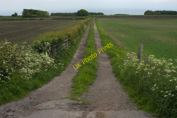Photo 6"x4" Farm track opposite Trashy Hill Eagland Hill c2009