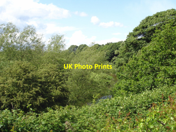 Photo 6"x4" River Dane Bostock Green c2007
